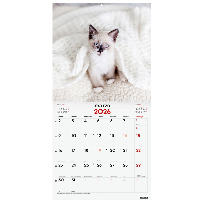 Calendario 2026 Finocam pared 30 x 30 cm gatitos
