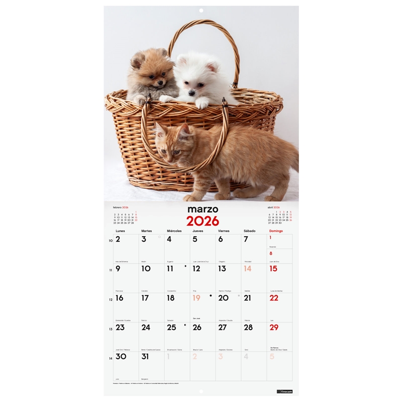 Calendario 2026 Finocam pared 30 x 30 cm perros y gatos