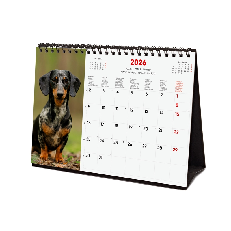 Calendario 2026 Finocam sobremesa dogs