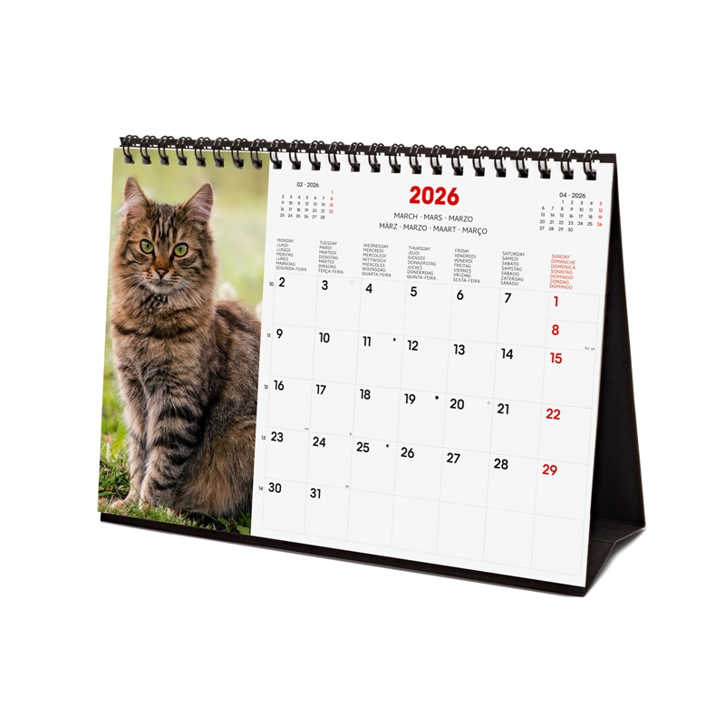 Calendario 2026 Finocam sobremesa cats