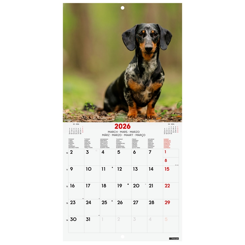 Calendario 2026 Finocam pared 18 x 18 cm dogs