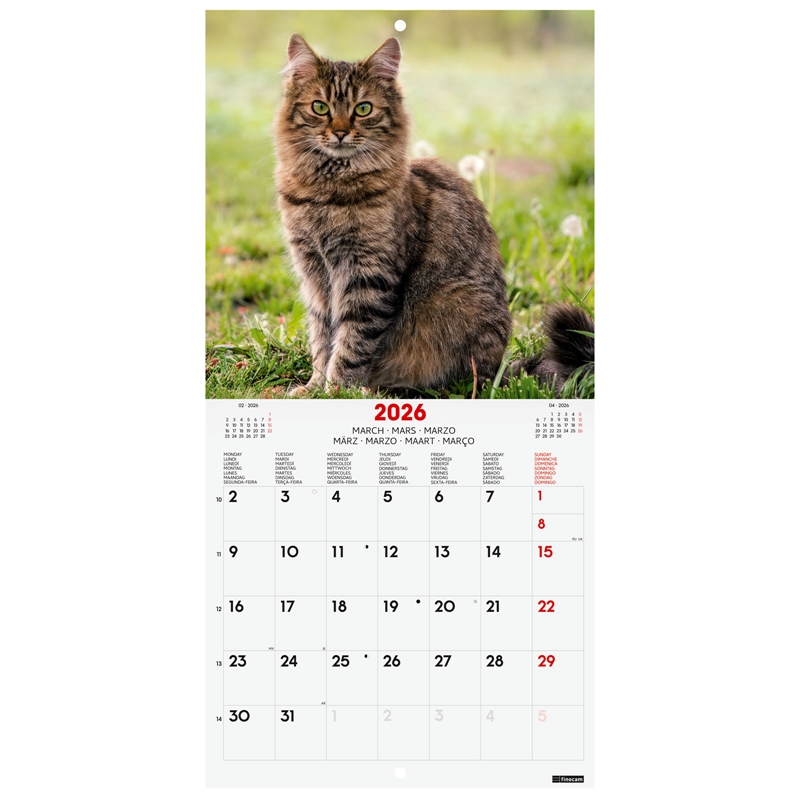 Calendario 2026 Finocam pared 18 x 18 cm cats
