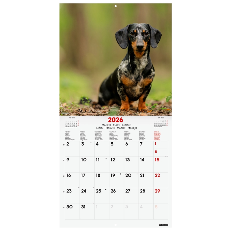 Calendario 2026 Finocam pared 30 x 30 cm dogs