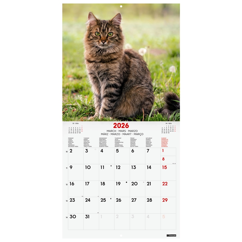 Calendario 2026 Finocam pared 30 x 30 cm cats