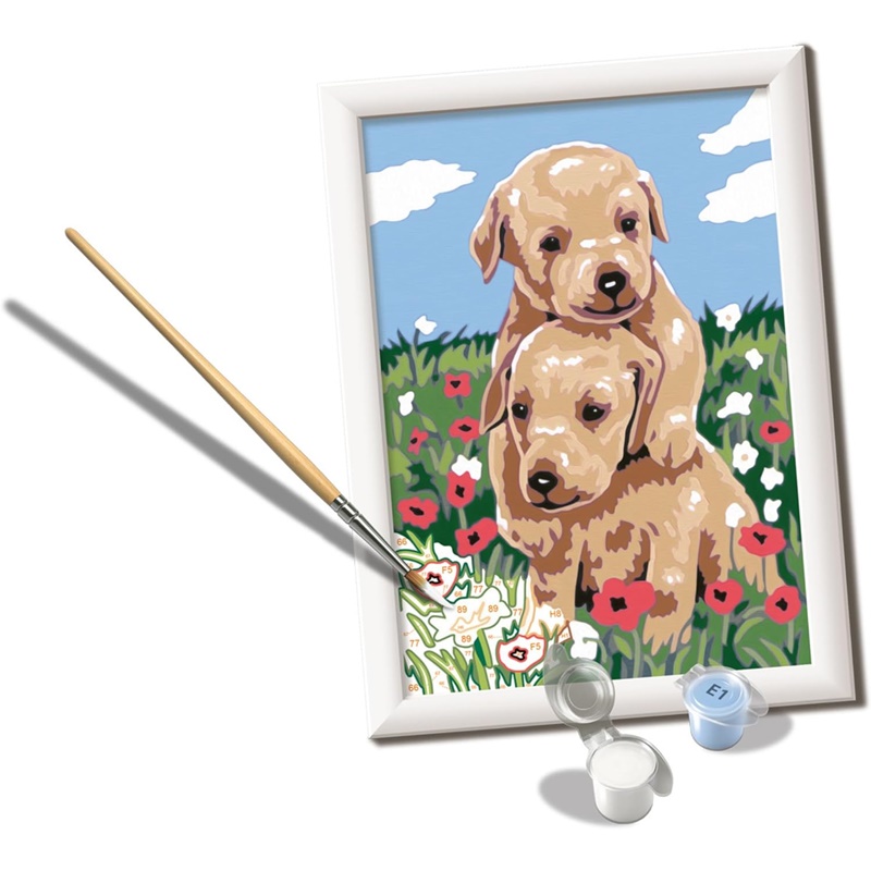 Pintar por números Dulces Golden Retriever 2 Pintar por números Dulces Golden Retriever